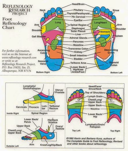 Reflexology foot chart